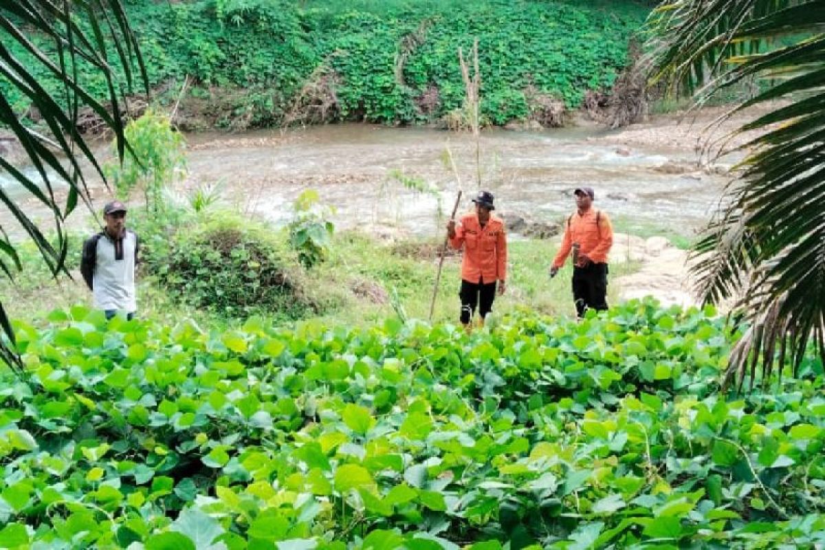 SAR Gabungan temukan warga  yang hilang tiga hari di hutan