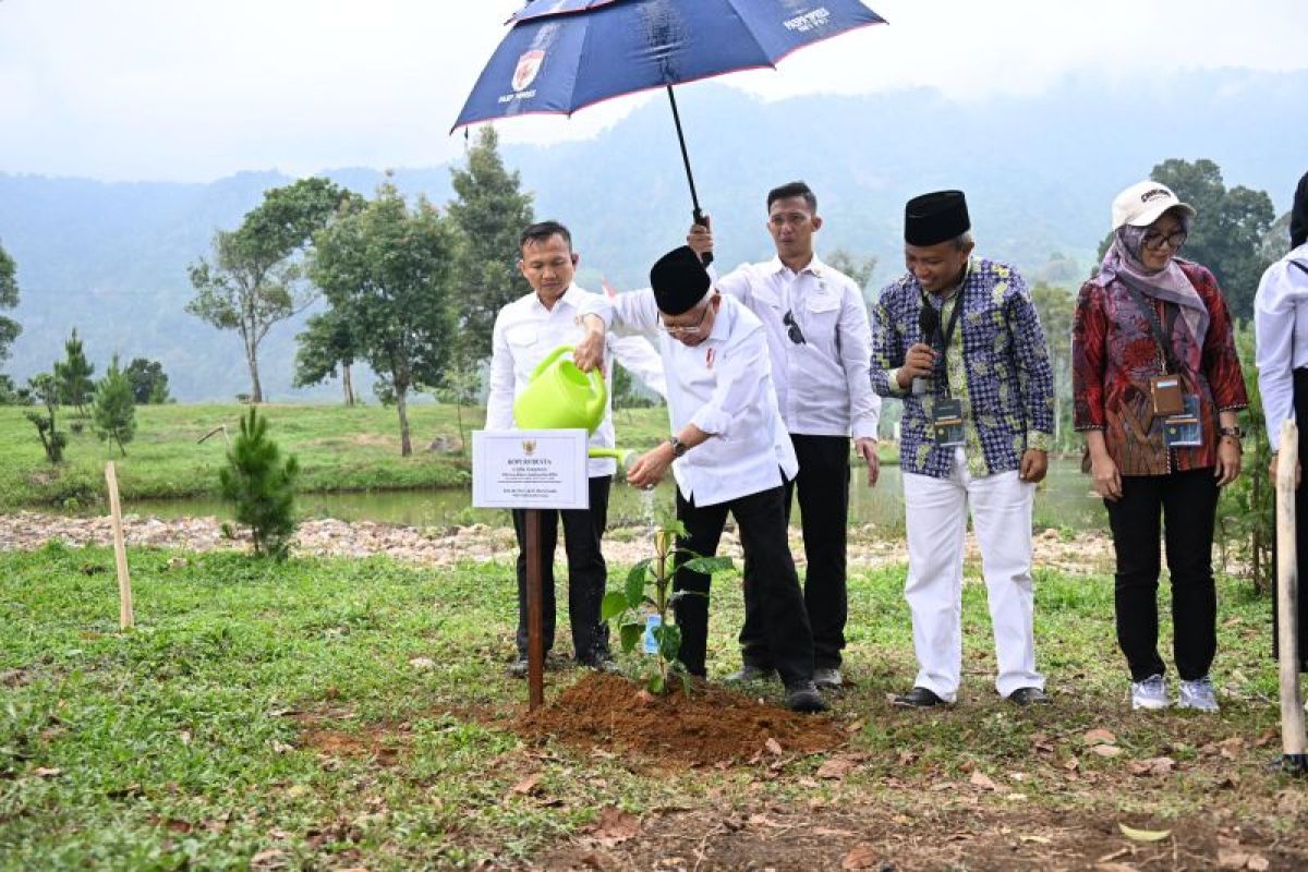 Wapres Ma'ruf Amin dukung ekosistem kopi berkelanjutan di Gunung Pakuan