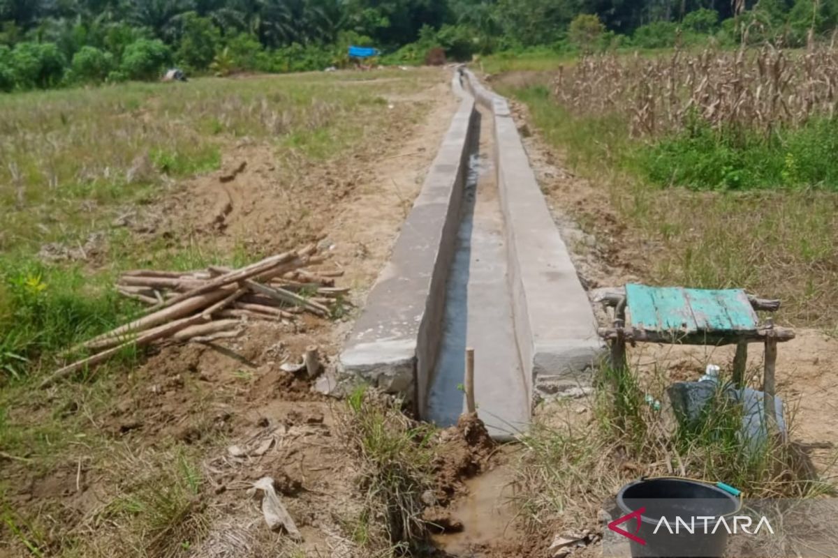 Penyerapan DAK fisik pertanian di Mukomuko 26,53 persen