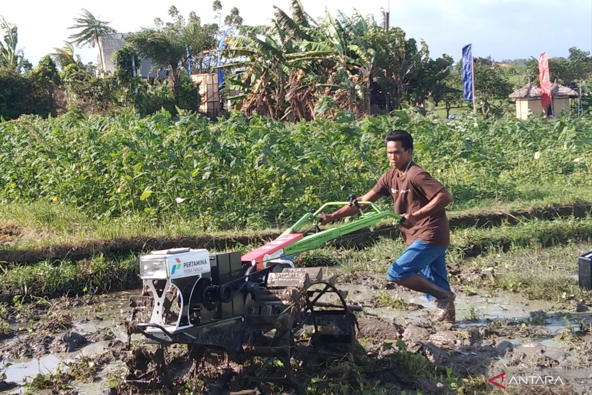 Inovasi pertanian rendah karbon demi langit Bali yang lebih biru