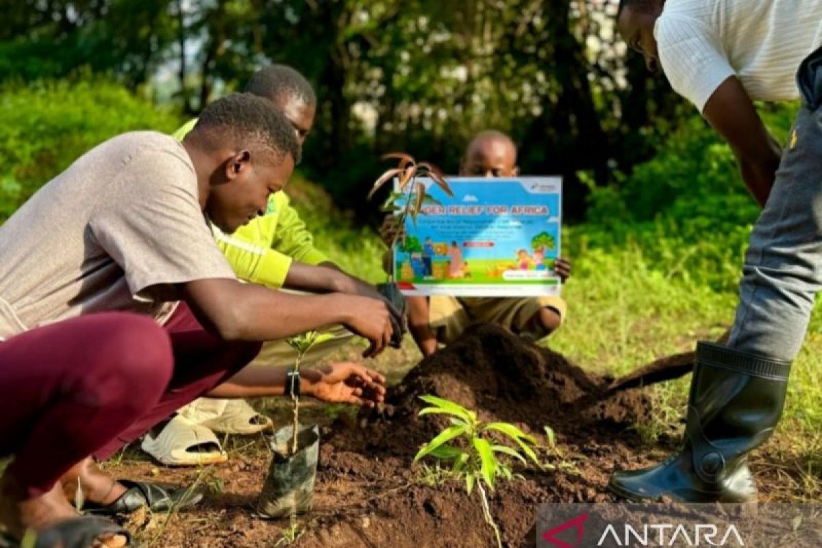 Pertamina bantu bibit pohon buah atasi krisis pangan Uganda