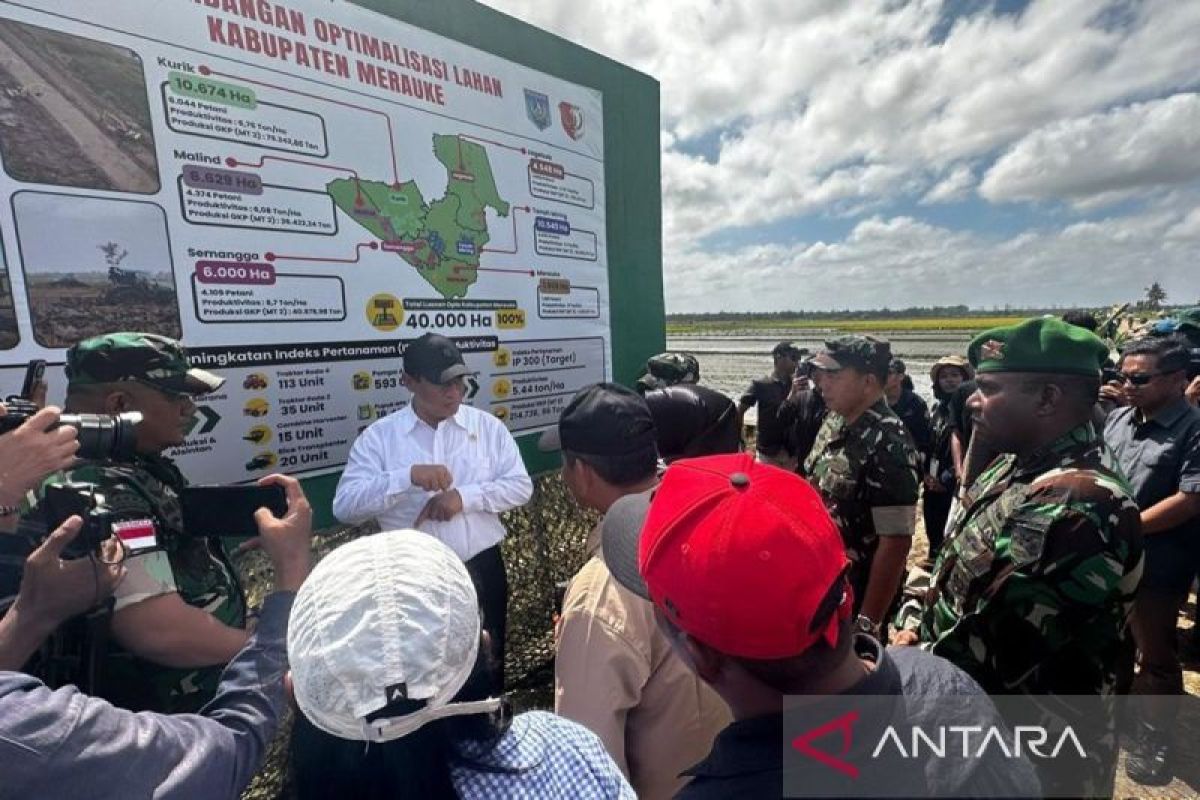 Wamenhan turut tinjau lahan pengembangan Food Estate di Merauke