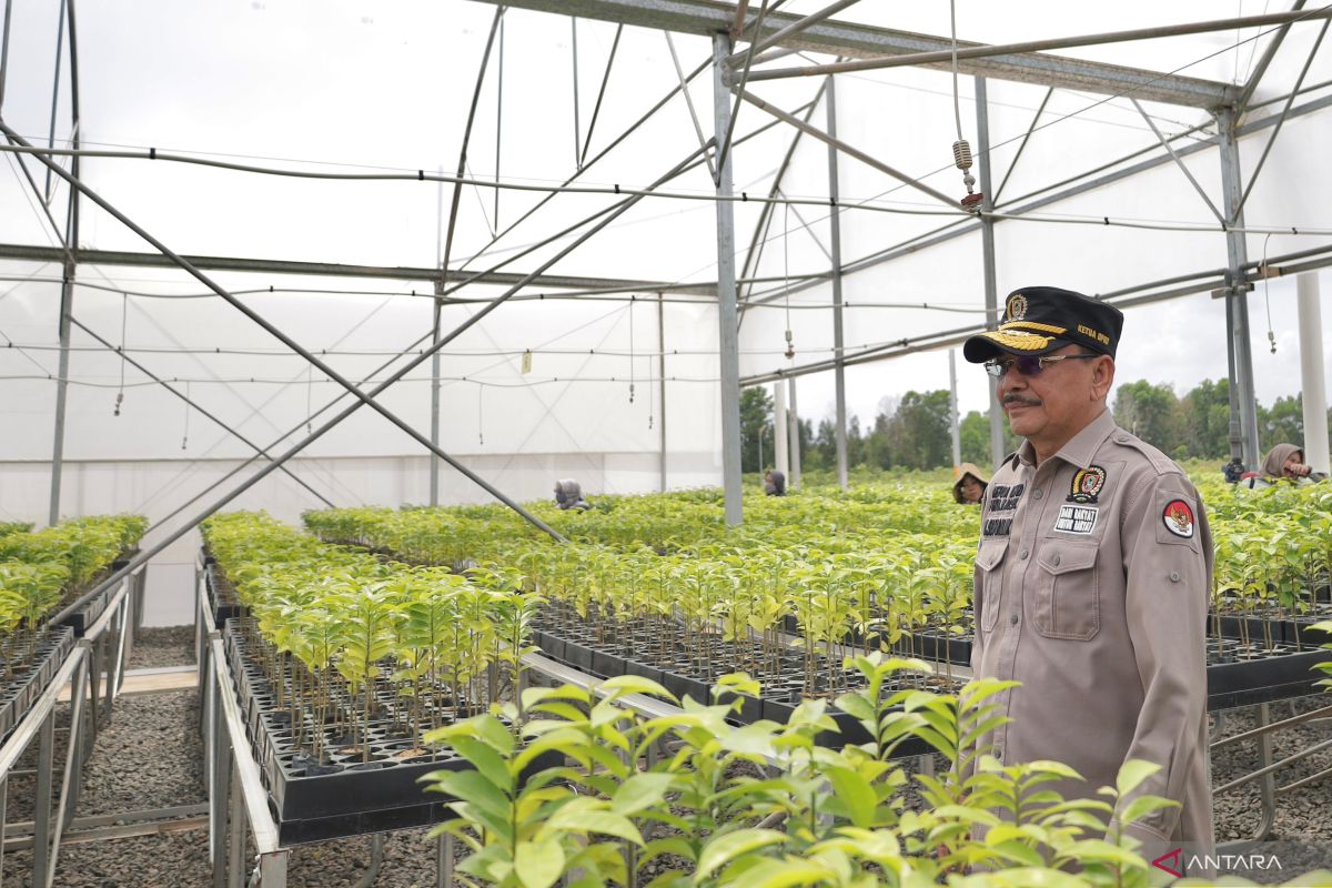 DPRD Kalsel harap Pusat PLA topang 