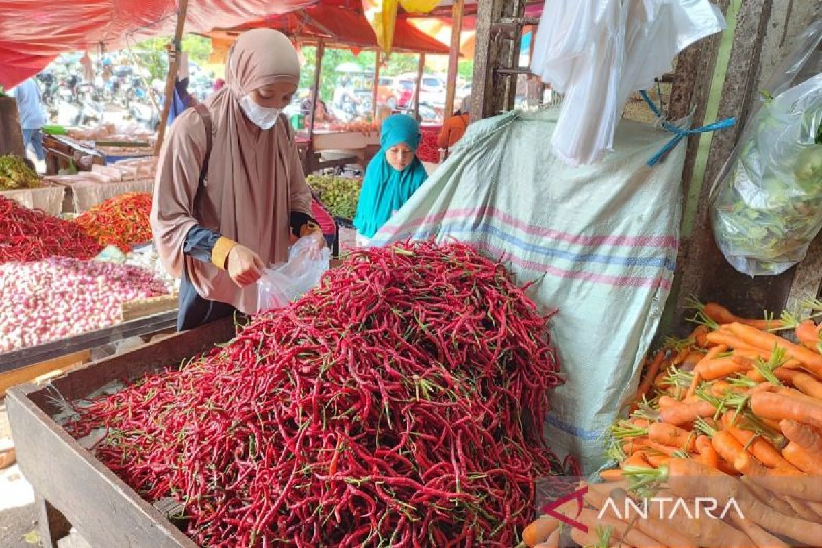 Harga cabai merah di Kota Bengkulu turun, kini Rp18 ribu per Kg