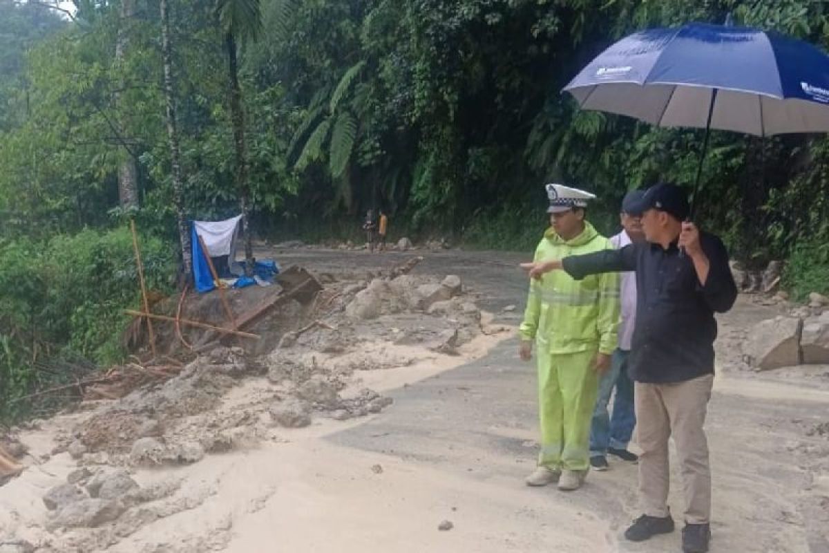 Pemkab: Jalan nasional  Sumut-Aceh kembali normal pascalongsor