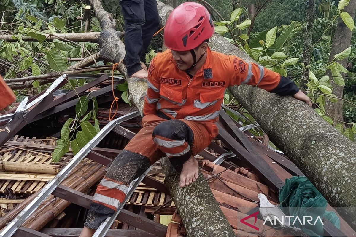 BPBD Kota Bogor tangani 11 kejadian bencana akibat cuaca ekstrem pada Minggu sore