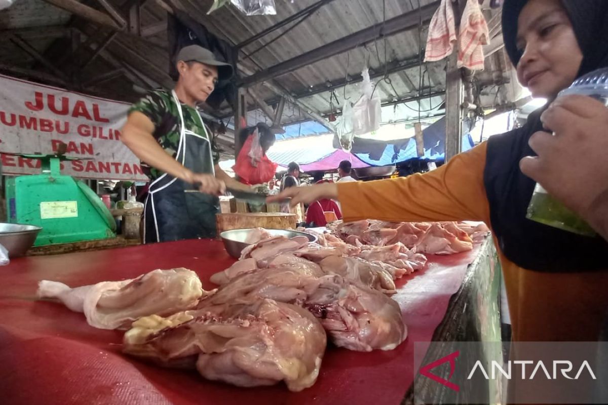 Bangka Belitung tambah pasokan 2.000 ton daging sapi beku