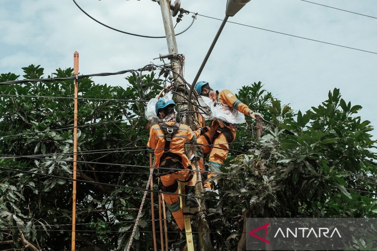 PLN tambah 75.517 pelanggan di triwulan pertama 2024