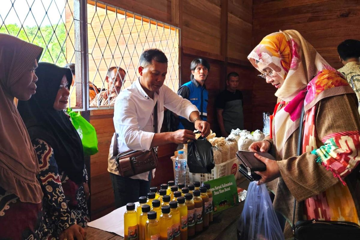 Program Desa Berdaya PLN di Sintang Kalbar majukan ekonomi daerah