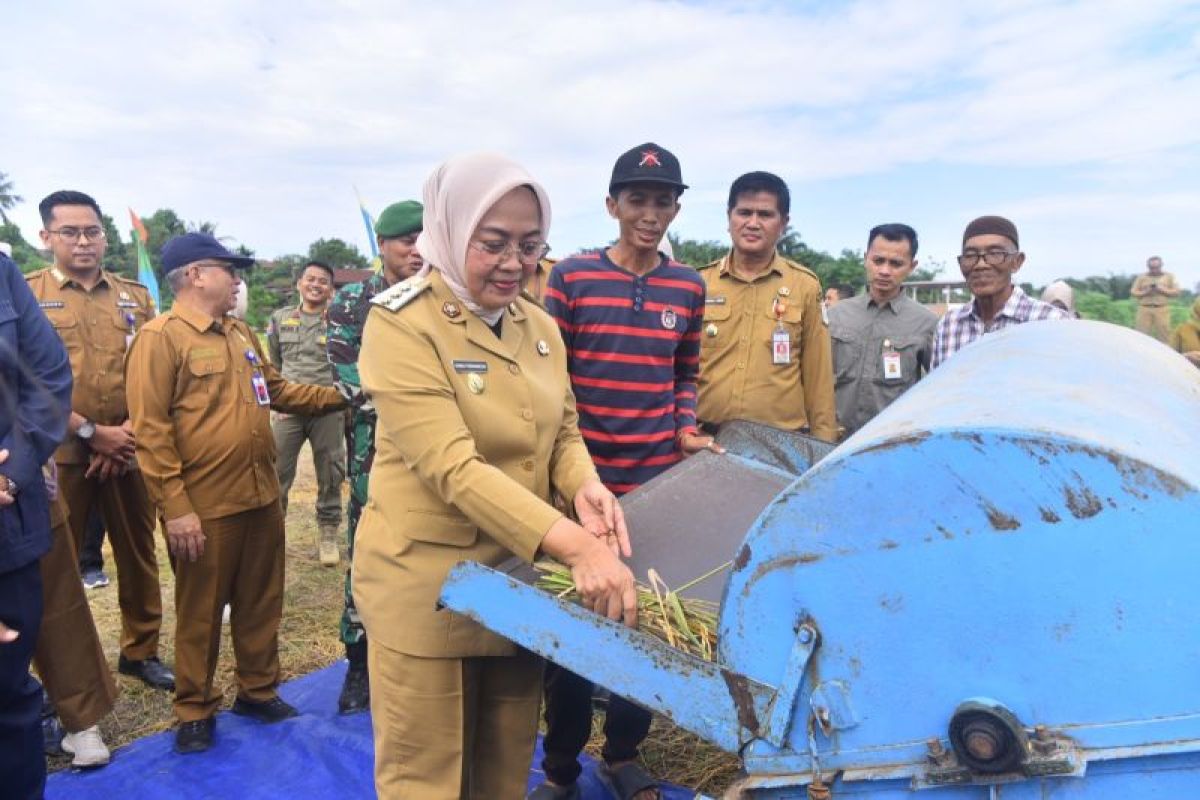 Pemkot Jambi pastikan keberlanjutan produksi pertanian lahan produktif