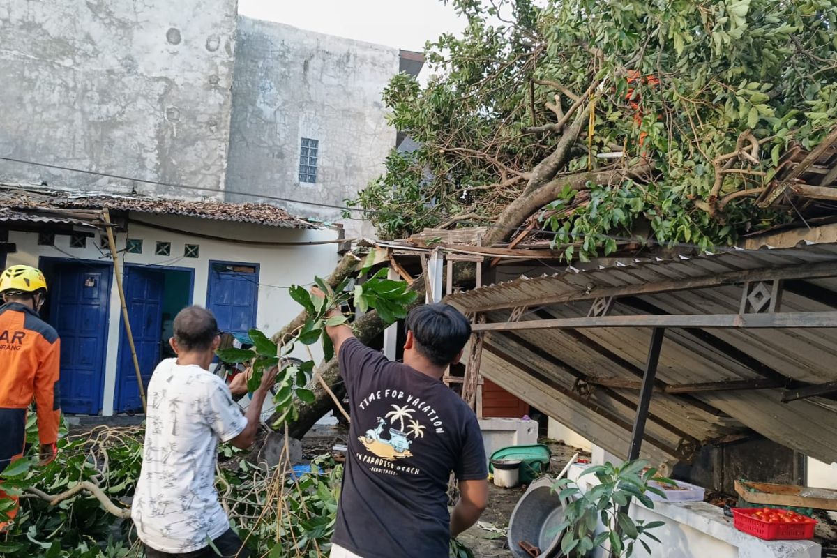 BPBD Sleman salurkan bantuan logistik untuk puluhan korban angin kencang