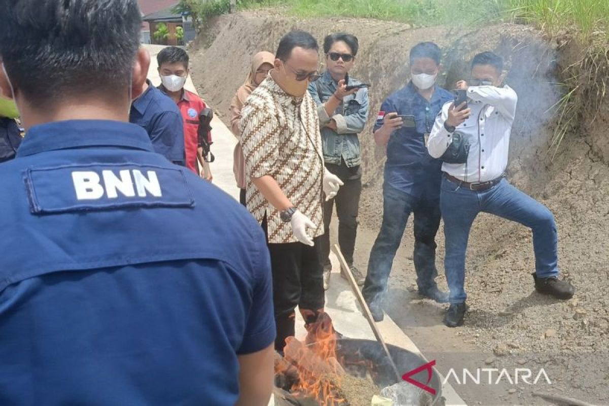 BNNP Kalimantan Timur musnahkan ganja empat kilogram dan sabu 1,1 kilogram