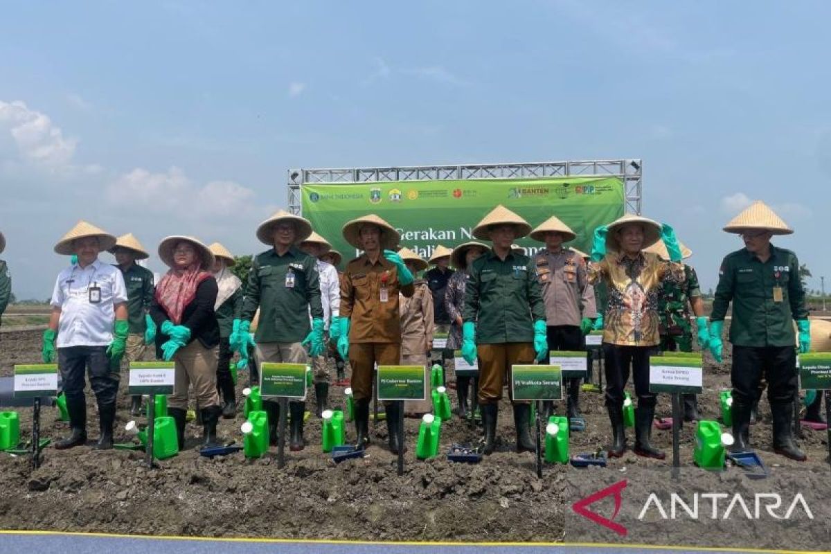 BI Banten tarik minat petani milenial lewat modernisasi pertanian