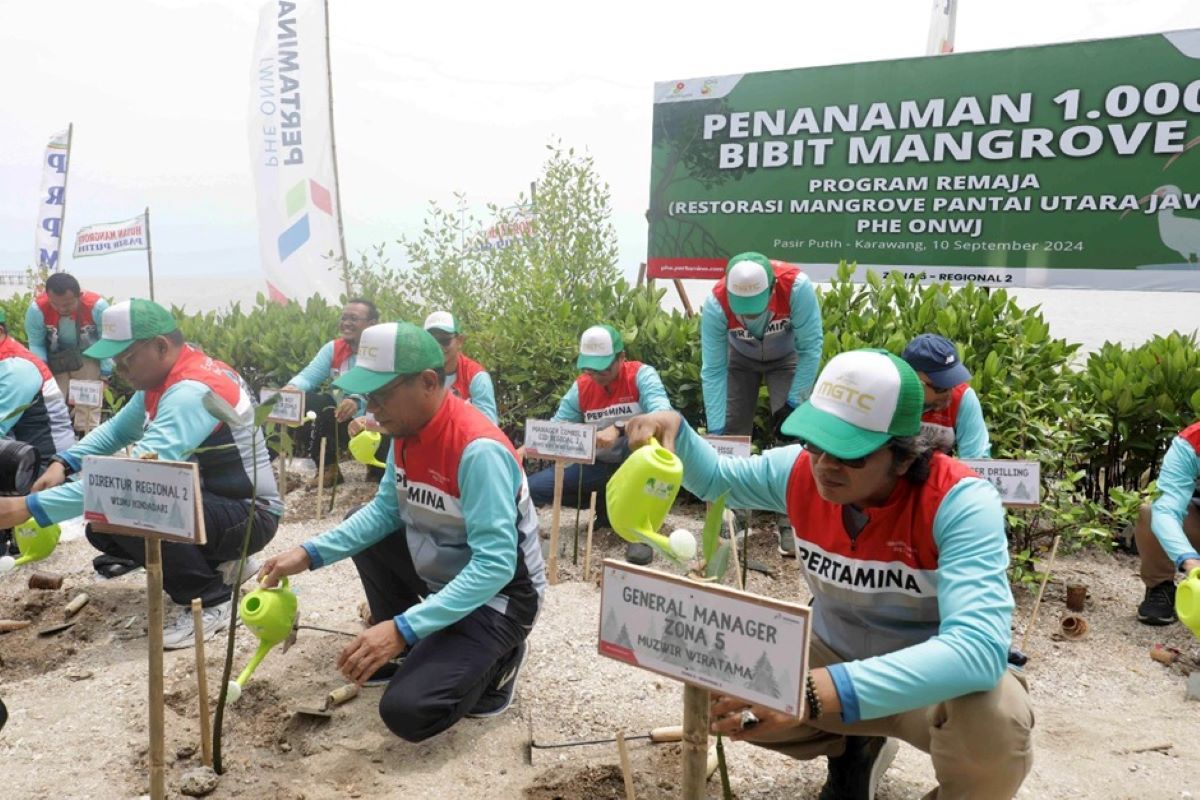 PHE ONWJ dukung kelestarian alam lewat program restorasi mangrove