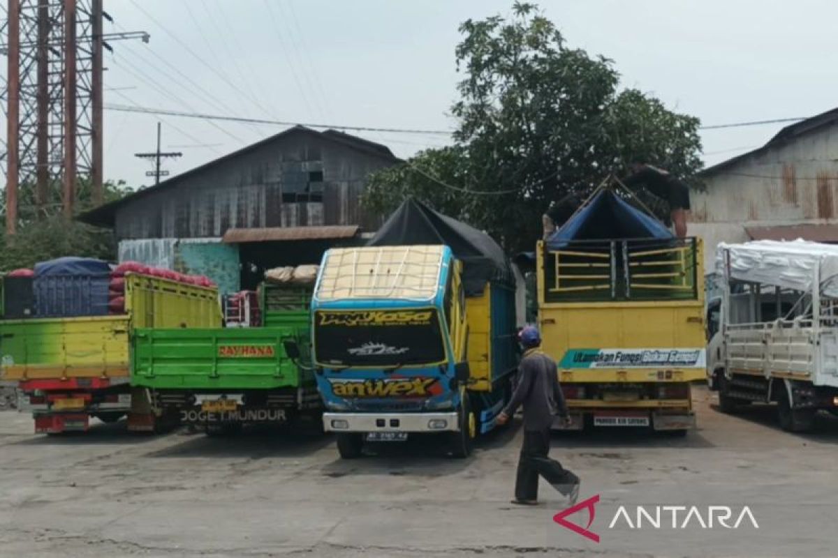 Pelindo fungsikan area penyangga untuk parkir truk di Tanjung Perak