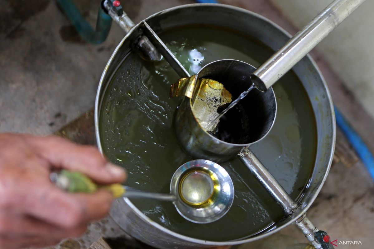 Indonesia's essential oil exports hit 5-year high