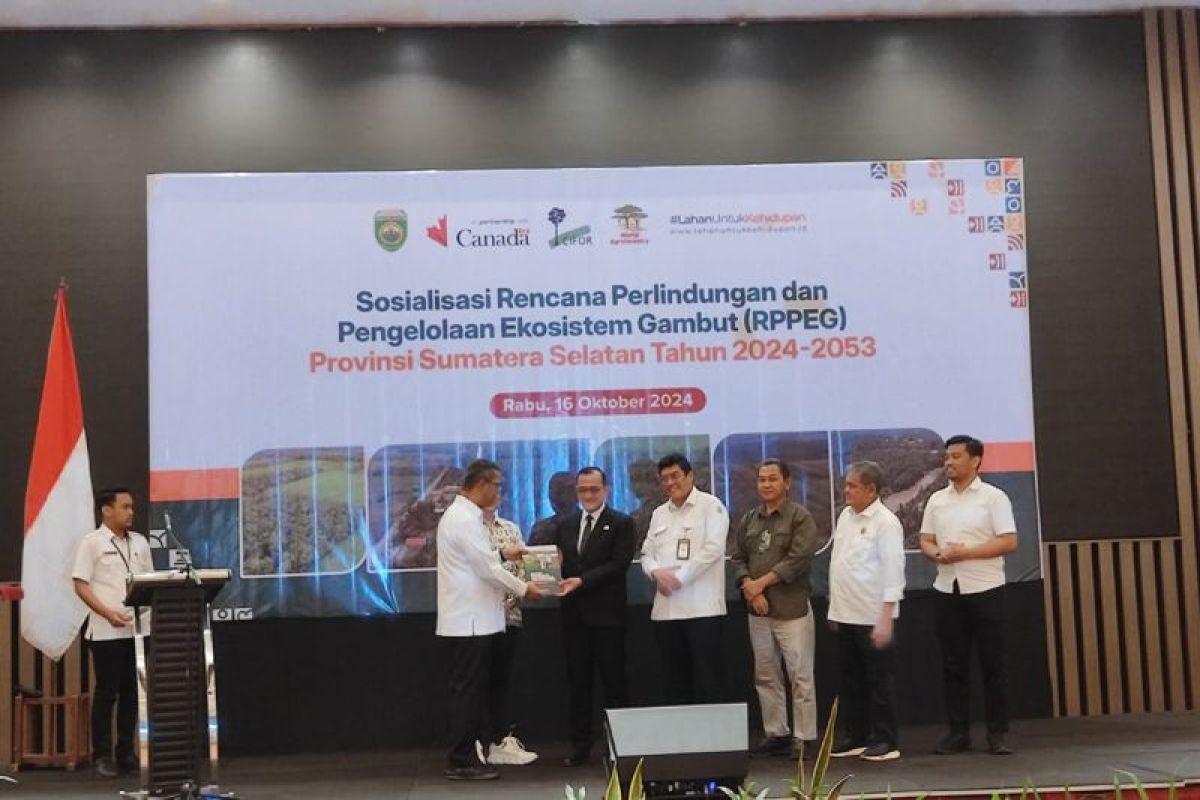 ​​​​​​​Pemprov Sumsel sosialisasikan RPPEG 2024-2053