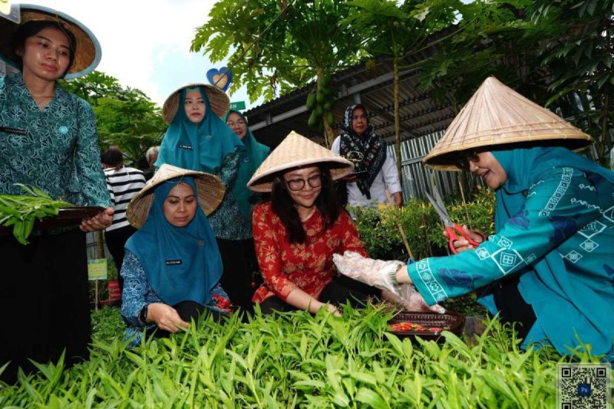 Lorong PKK Kelurahan Mangasa Makassar dijadikan percontohan kampung PKK