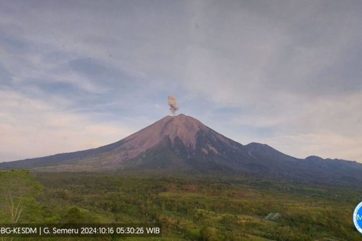 Gunung Semeru erupsi setinggi 700 meter