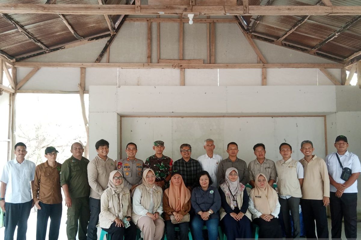 Setkab evaluasi program rehabilitasi mangrove di Belitung