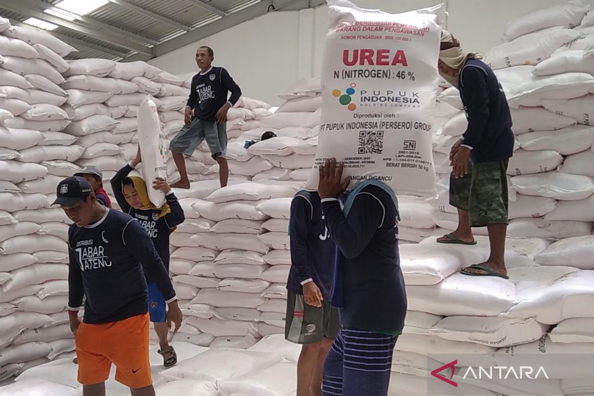 Penyaluran pupuk urea di Demak sudah 41,87 persen