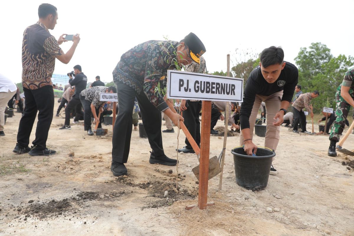 Pj Gubernur-Kapolda Babel tanam pohon di 27 hektare lahan kritis