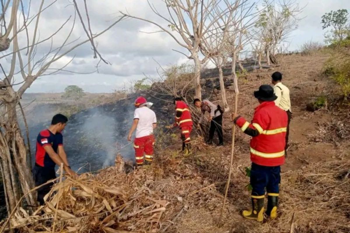 Puluhan hektare lahan di Lombok Tengah terbakar saat kemarau