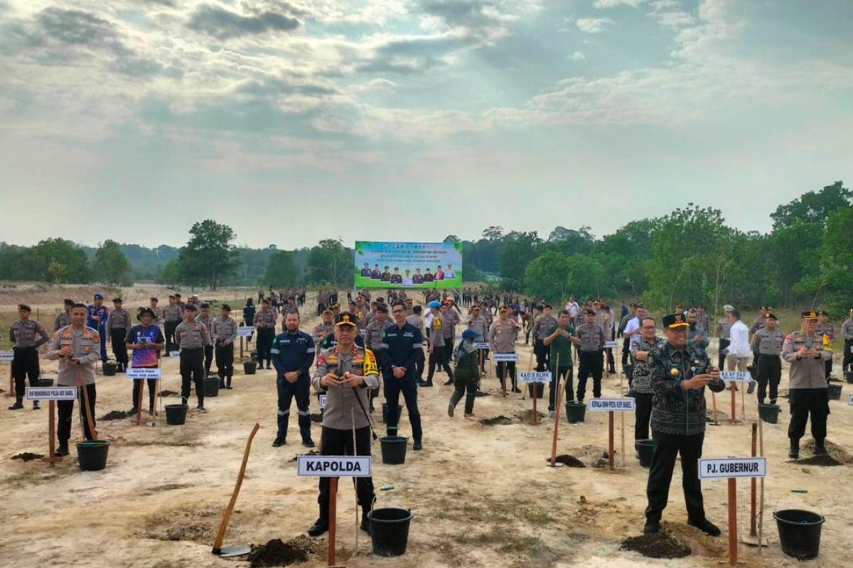 Hijaukan lahan bekas tambang, Polda Babel tanam 1.200 bibit pohon kayu putih