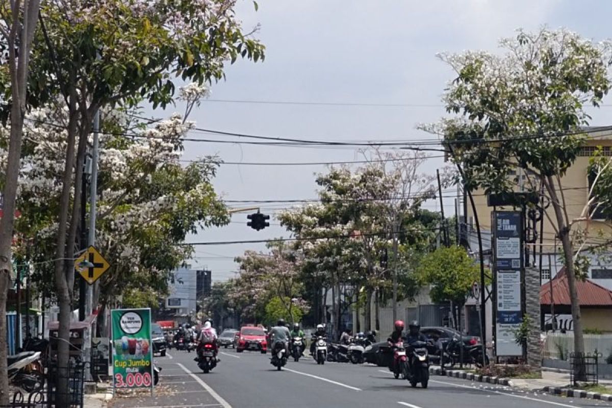 BPBD sebut Bojonegoro masuk suhu tertinggi kedua di Jatim