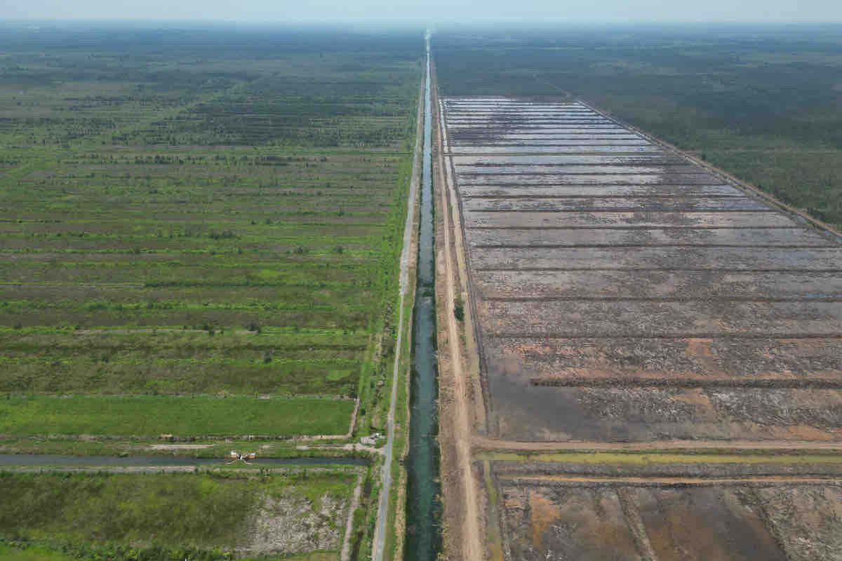 Kementan: Program cetak sawah didukung penuh presiden terpilih Prabowo