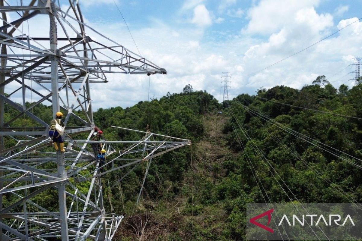 PLN komitmen percepat pembangunan infrastruktur listrik Kalimantan