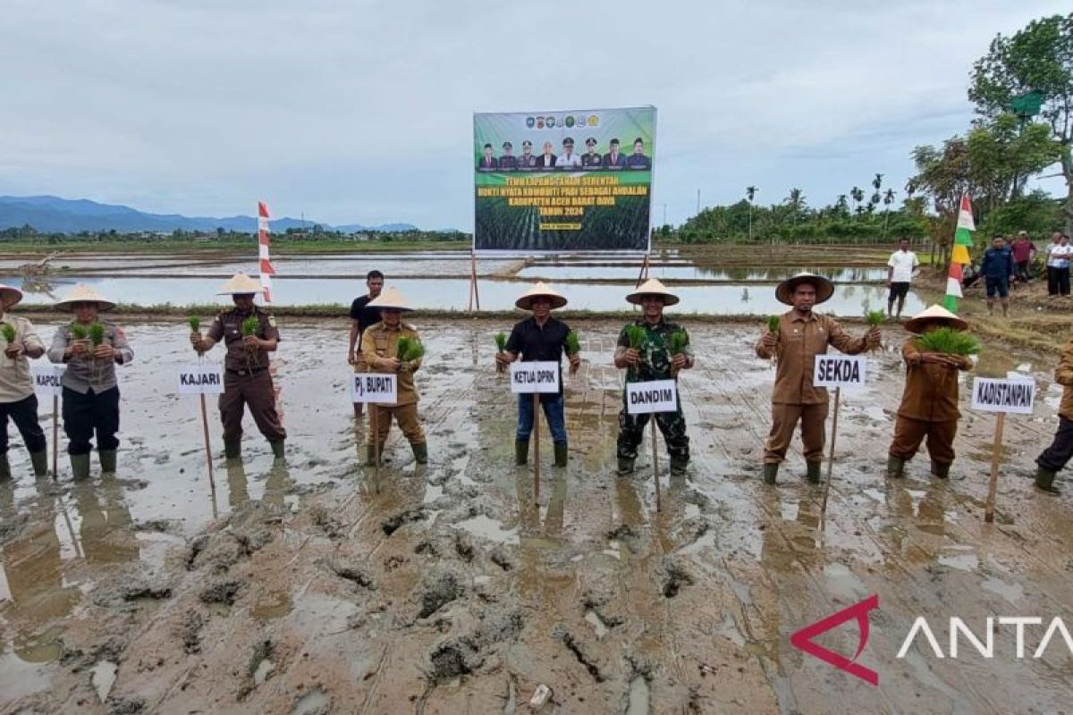 Begini cara Pj Bupati Sunawardi bantu petani sukseskan tanam padi serentak