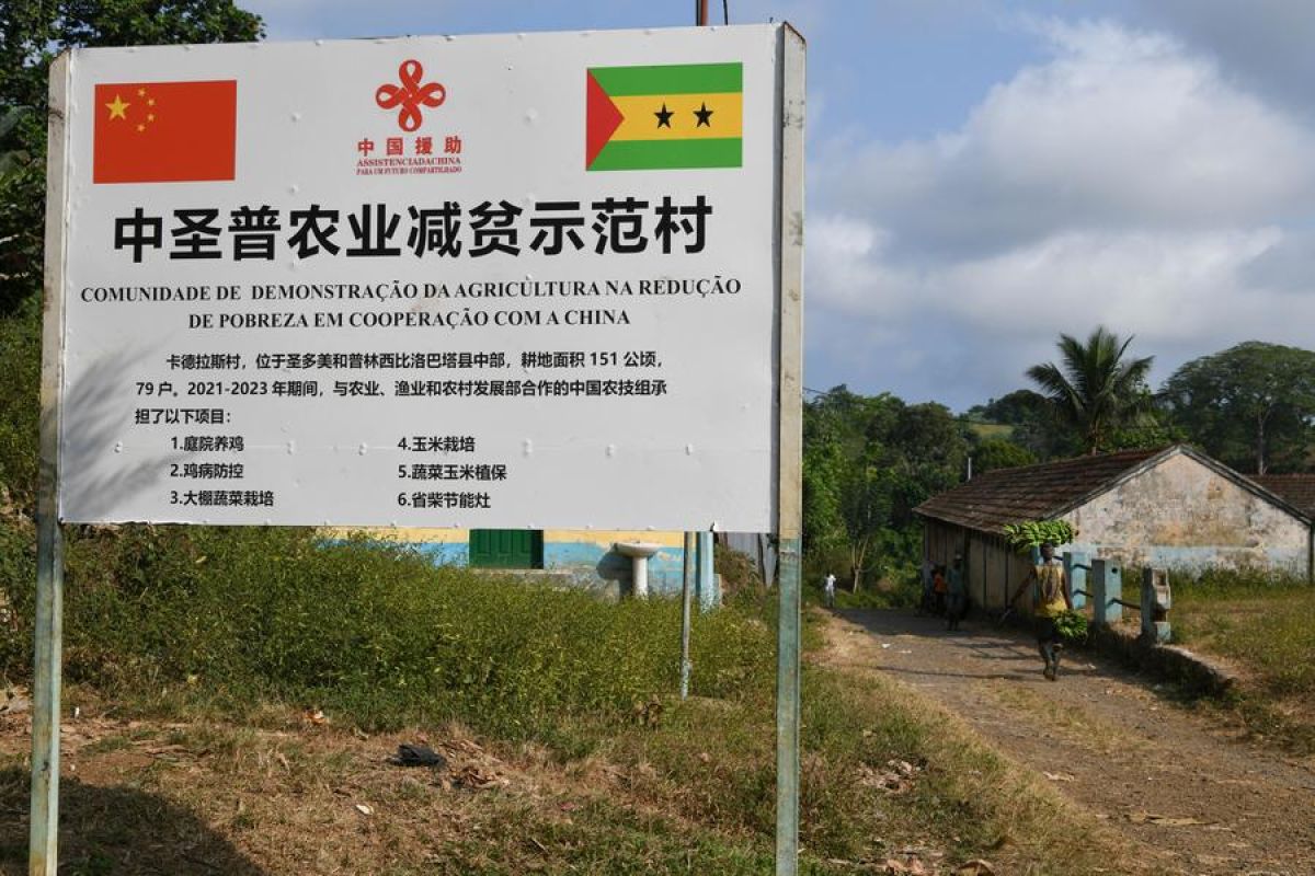 Feature: Keahlian pertanian China tingkatkan praktik pertanian di Sao Tome dan Principe (Bagian 1)