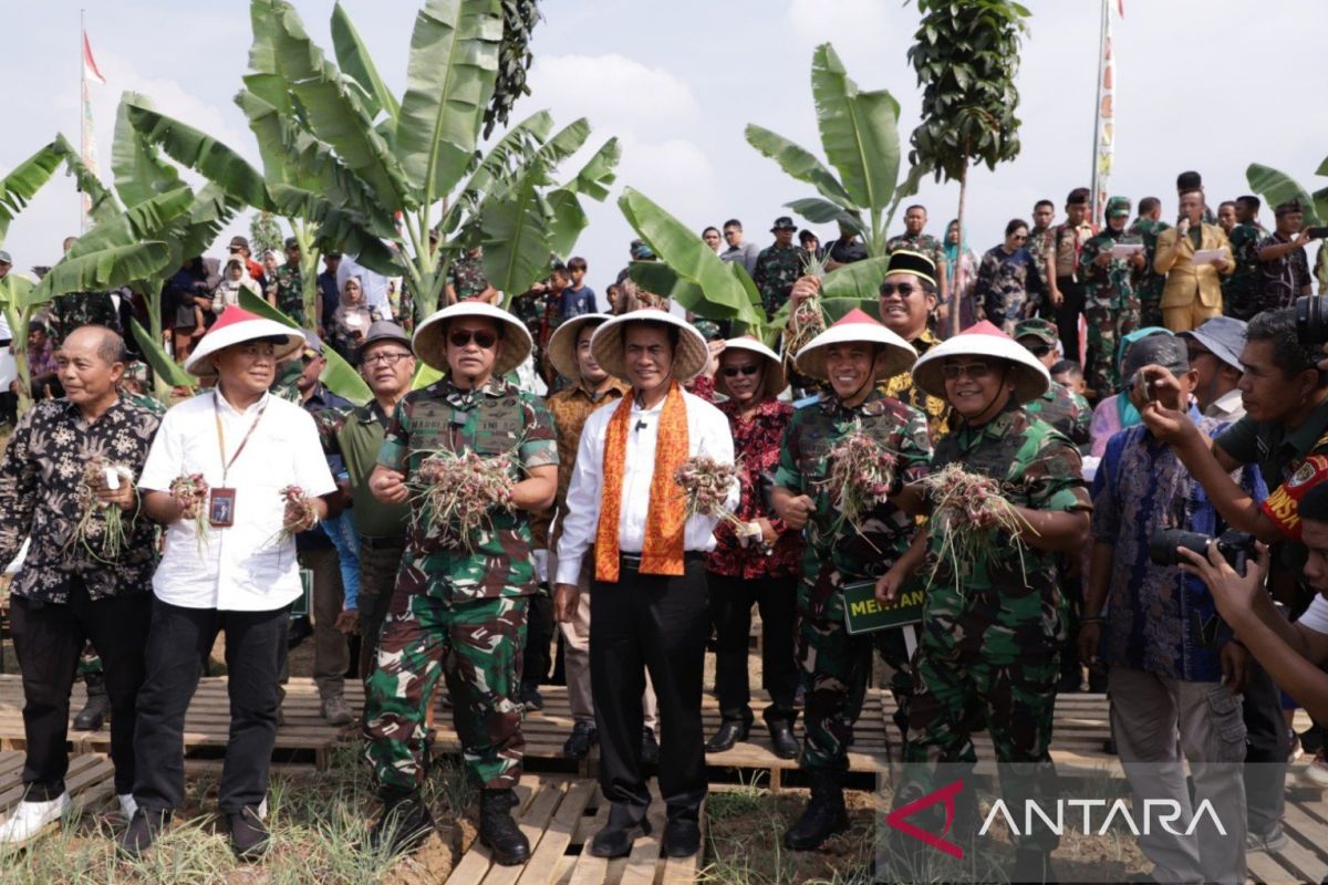 Menjaga ketahanan pangan lewat urban farming di Kabupaten Bekasi