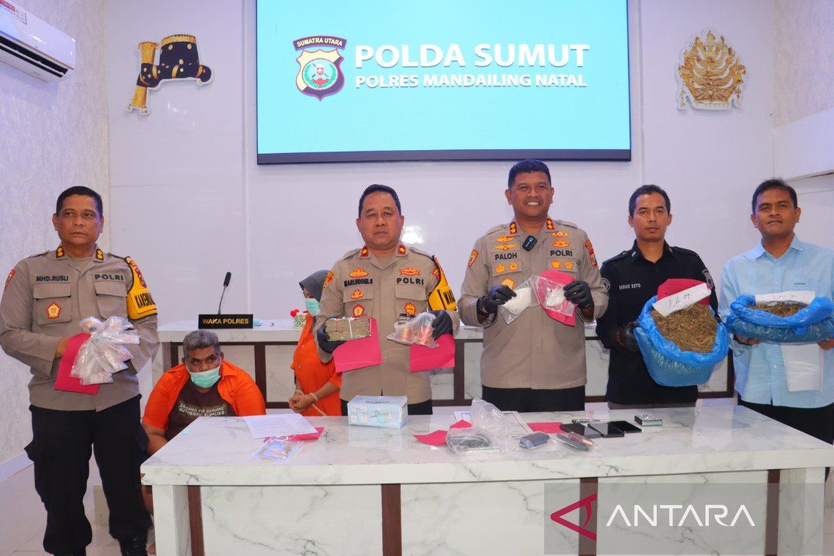 Bandar narkoba kelas kakap ditangkap polisi di Madina