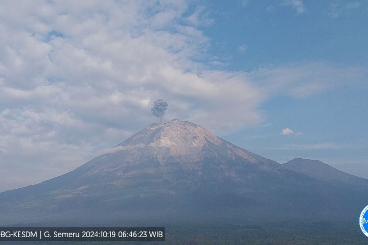 Gunung Semeru  kembali erupsi dengan letusan setinggi 700 meter