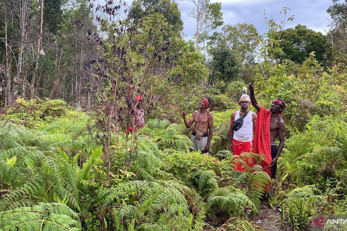 Jalan panjang menuju penetapan hutan adat di Sorong Selatan