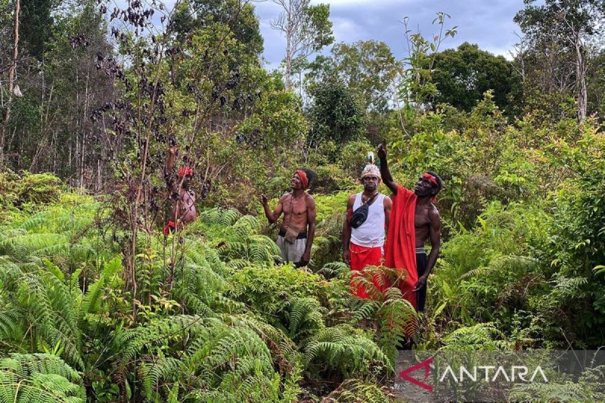 Jalan panjang menuju penetapan hutan adat di Sorong Selatan