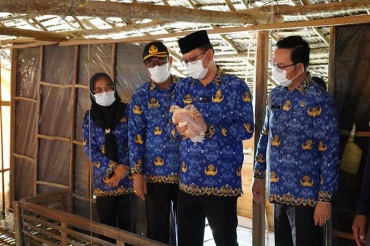 Pj Bupati Banyuasin cek ketersediaan ayam di peternak