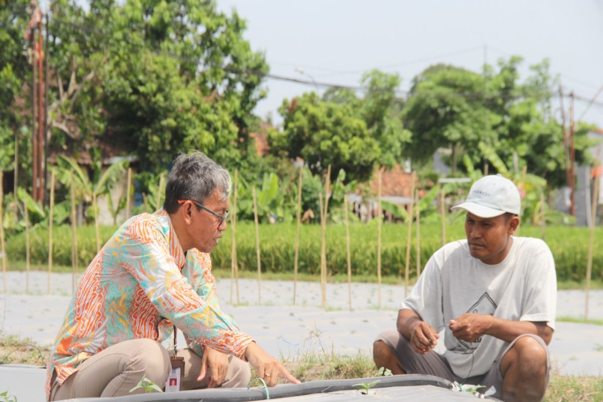 DP3 Sleman apresiasi kesuksesan petani milenial manfaatkan teknologi