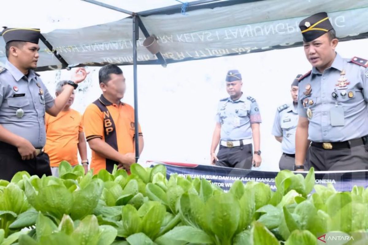 Rutan Tanjungpinang panen sayur hasil budidaya warga binaan