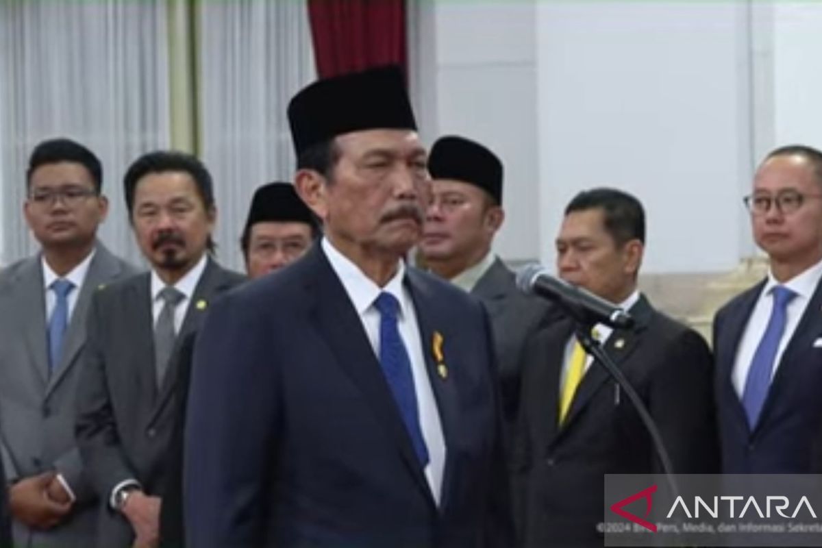 Presiden Prabowo angkat Luhut Binsar Pandjaitan jadi Ketua Dewan Ekonomi Nasional