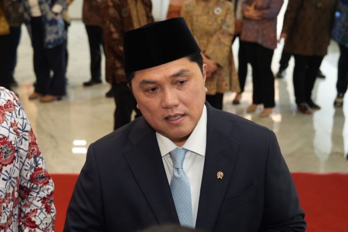 Erick Thohir sebut BUMN harus bekerja lebih profesional dan transparan