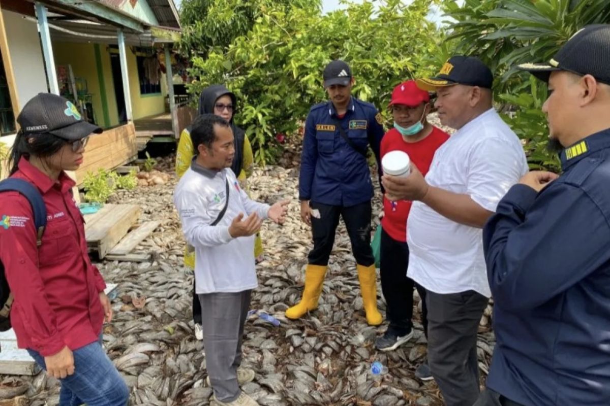 Kasus malaria Inderagiri naik, satgas temukan lokasi indukan Anopheles