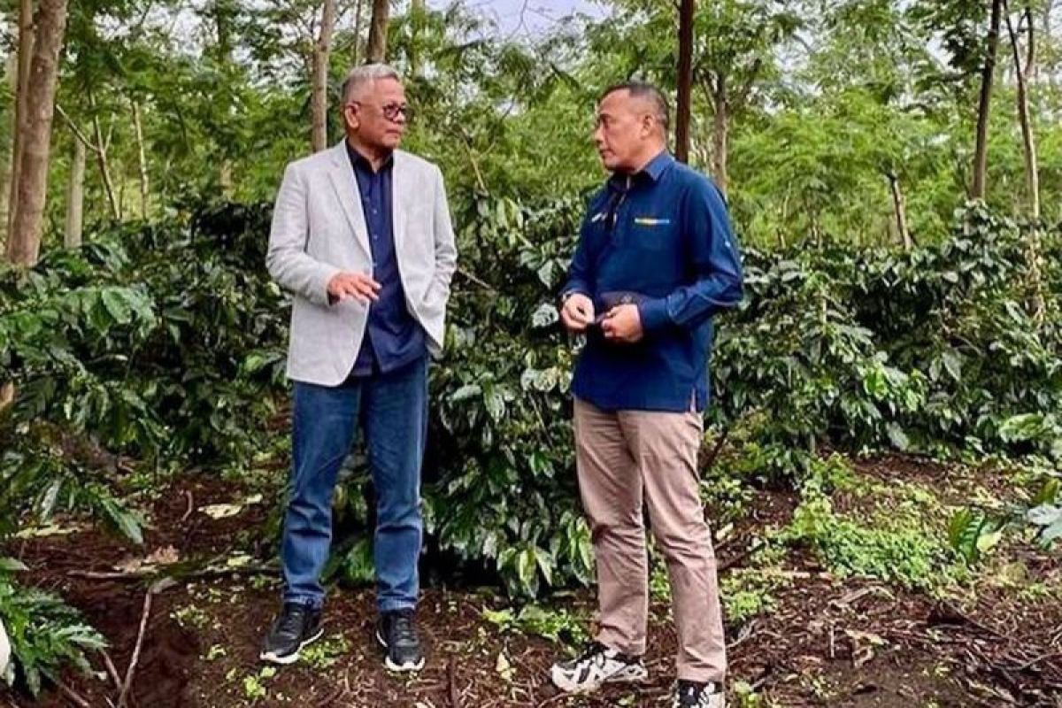 PTPN IV PalmCo sebut produksi "Java Coffee" sudah tembus pasar global