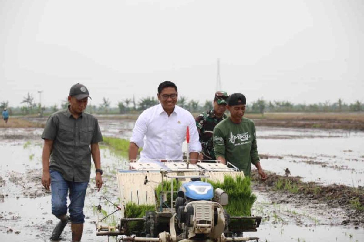 Wamentan Sudaryono perkuat visi Prabowo wujudkan swasembada pangan