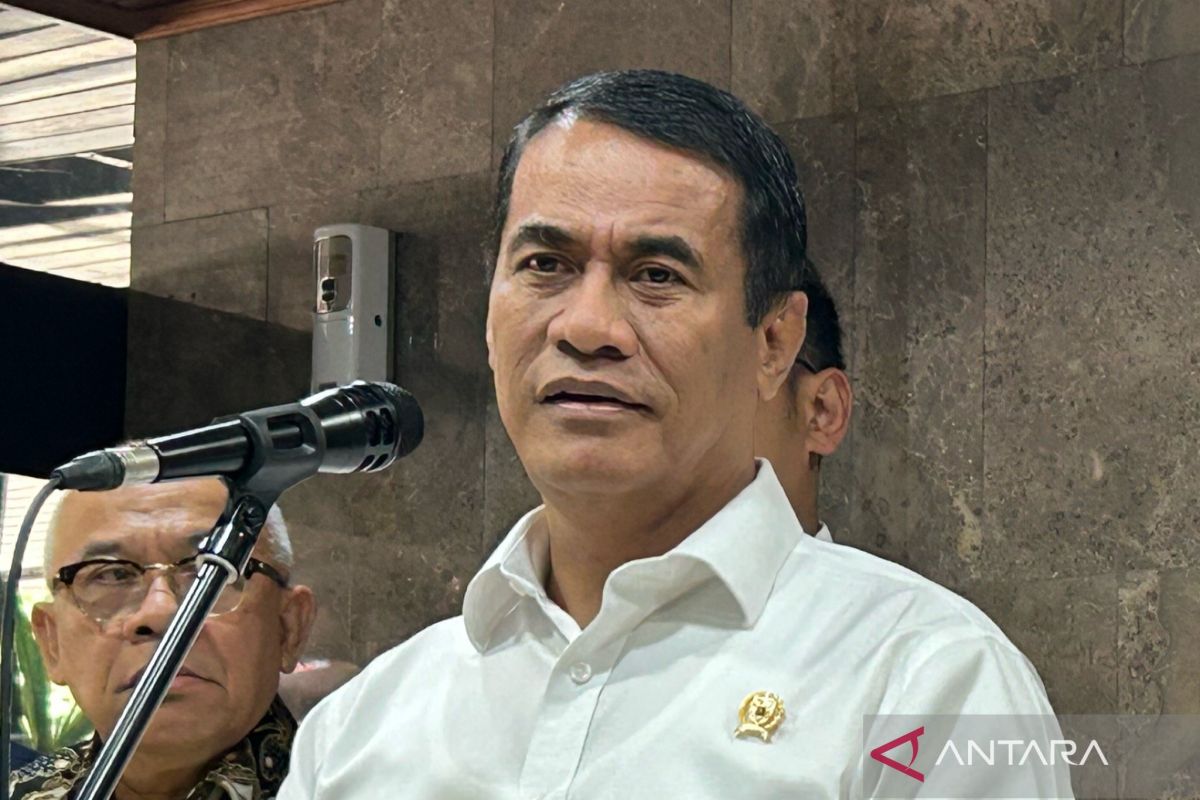 Mentan Amran ungkap dua strategi capai target swasembada pangan