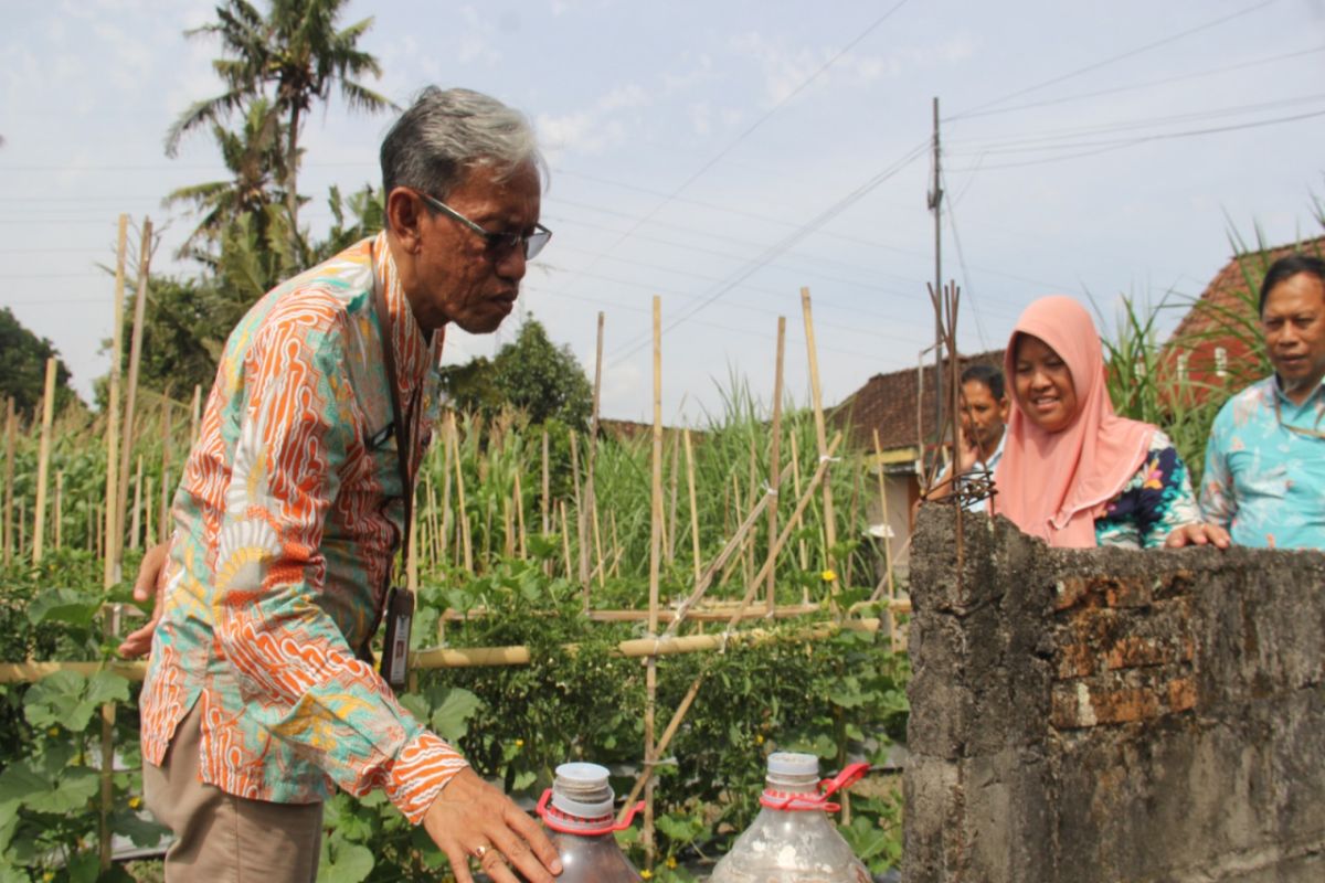 DP3 Sleman bantu petani praktikan budi daya cabai sehat