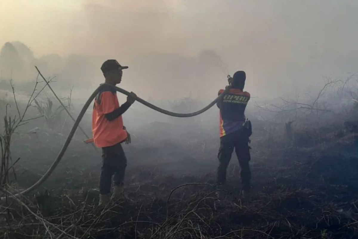 Tiga hektare lahan warga di Balangan terbakar akibat Karhutla