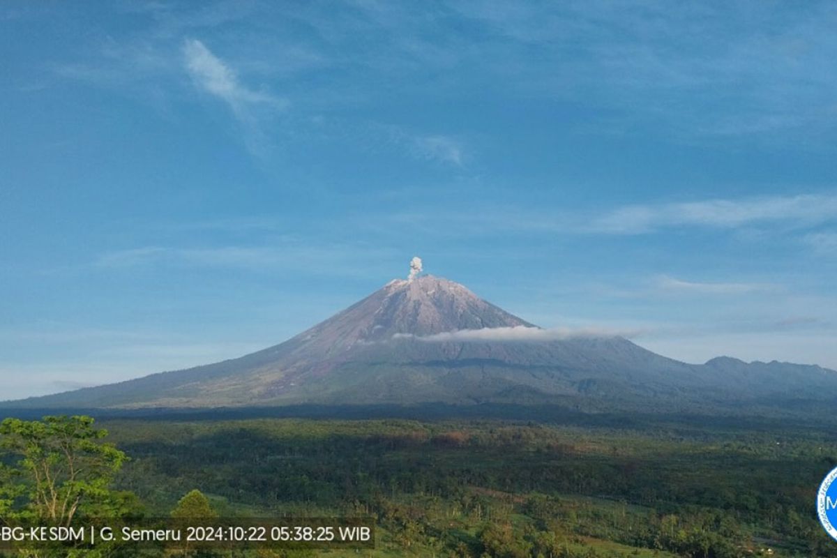 Semeru kembali alami erupsi dengan letusan setinggi 500 meter